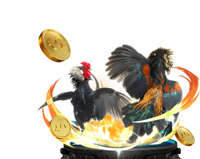 Đá gà tại abc8 game bài